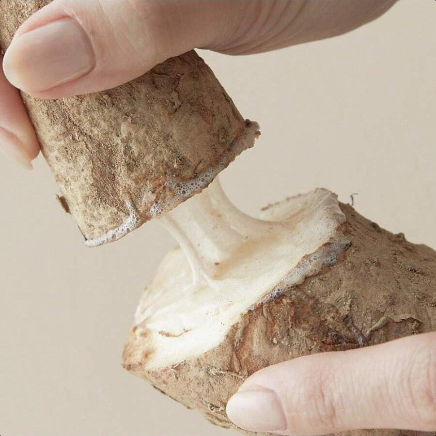 Blithe Pressed Serum 68.79% Wild Yam Moisturizing Serum With Cream Texture For Women, Vegan Mucin Safe For Sensitive Skin