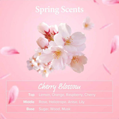 kundal Caffeine Scalp Shampoo, 16.9 Fl Oz (500 Ml), Cherry Blossom