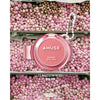 AMUSE Powder Lip & Cheek 4g 12Shades K-Beauty