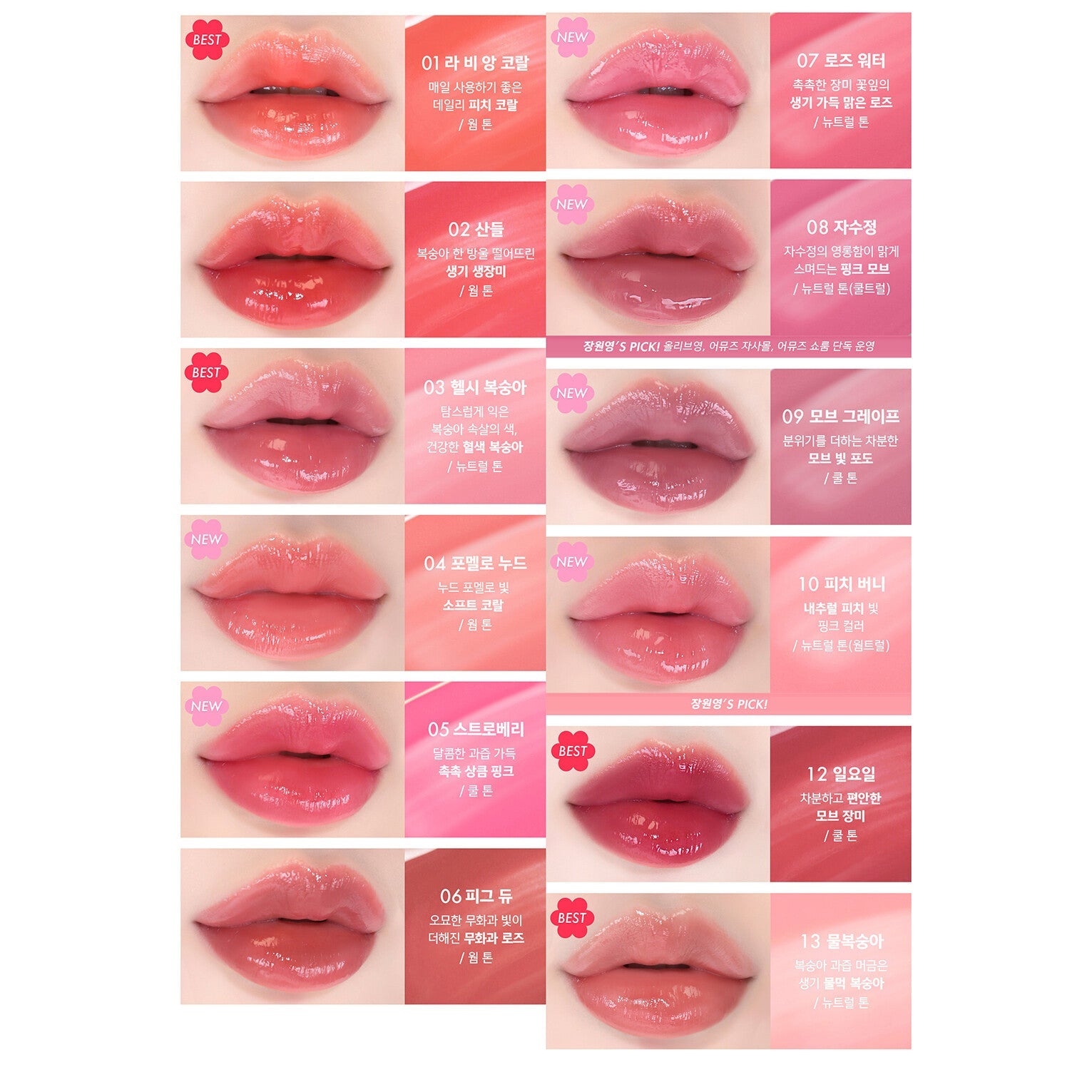 AMUSE Dew Tint 4g 13shades